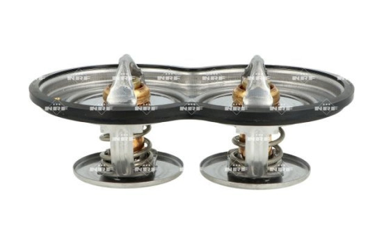Thermostat, coolant