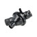 Thermostat, coolant, Thumbnail 2