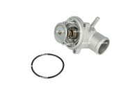 Thermostat, coolant