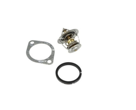 Thermostat, coolant
