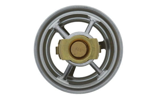 Thermostat, coolant, Image 5