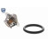 Thermostat, coolant
