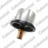 Thermostat, coolant, Thumbnail 3