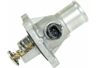 Thermostat, coolant