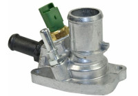 Thermostat, coolant