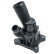 Thermostat, coolant