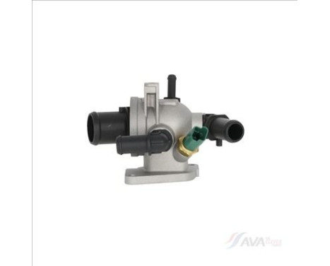 Thermostat, coolant