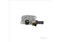 Thermostat, coolant