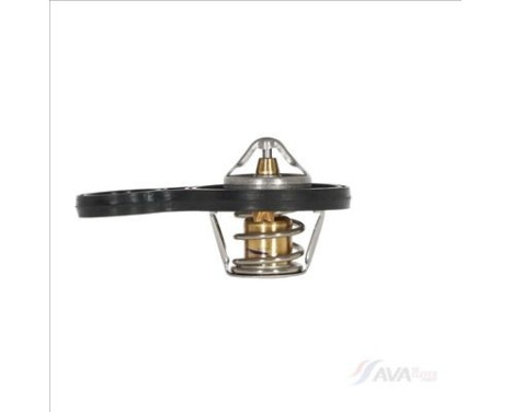 Thermostat, coolant