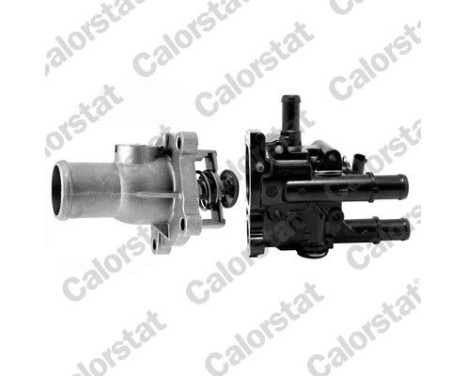 Thermostat, coolant