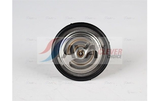Thermostat, coolant, Image 2