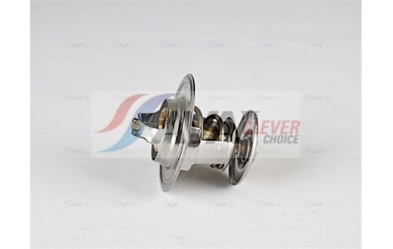 Thermostat, coolant, Image 2