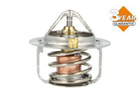 Thermostat, coolant