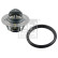 thermostat with sealing ring 180707 FEBI