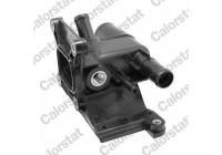 Coolant Flange