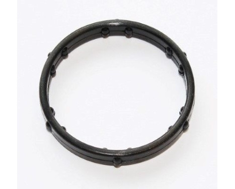 Gasket, coolant coupling