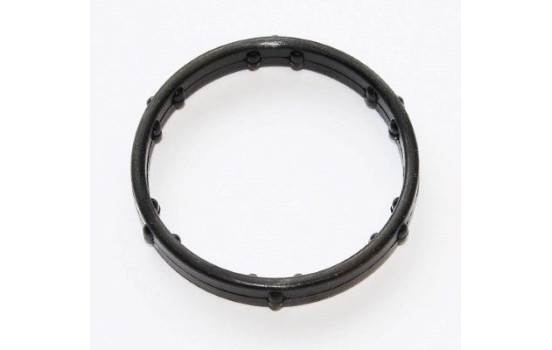 Gasket, coolant coupling