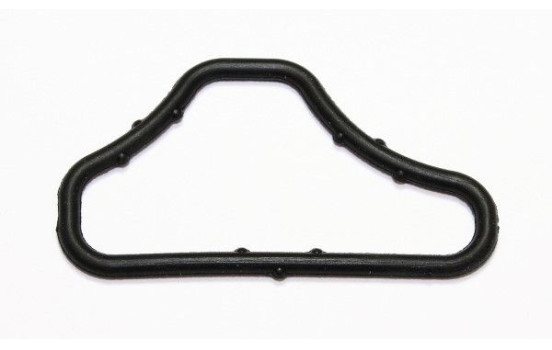 Gasket, coolant coupling