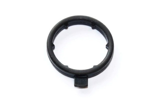 Gasket, coolant coupling