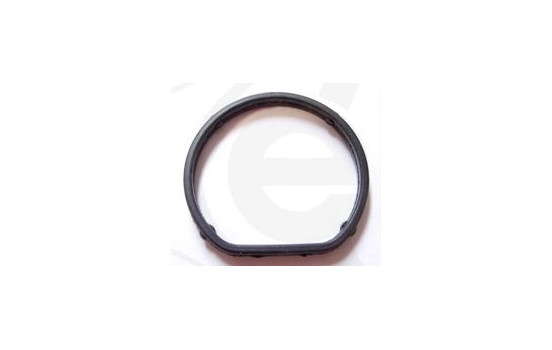 Gasket, coolant coupling