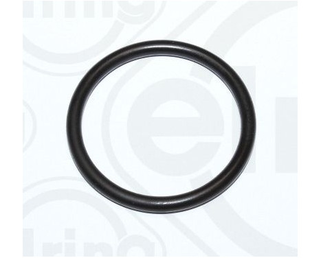 Gasket, coolant coupling