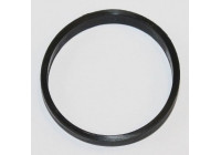Gasket, coolant flange