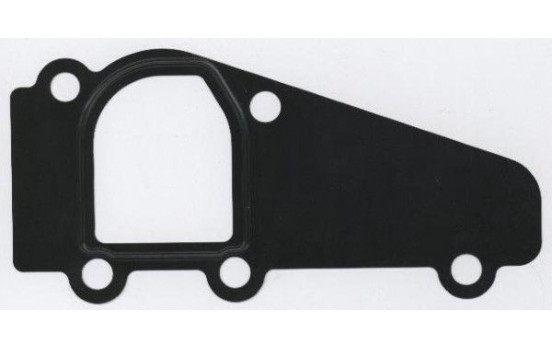 Gasket, coolant flange