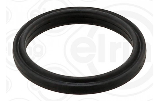 Gasket, coolant flange