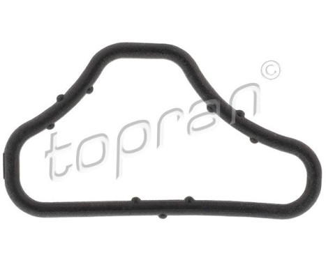 Gasket, coolant flange
