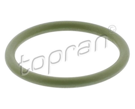 Gasket, coolant flange