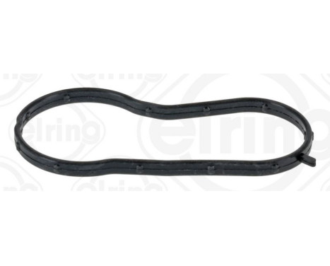 Gasket, coolant flange