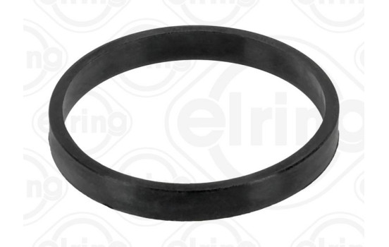 Gasket, coolant flange