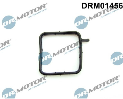 Gasket, coolant tube