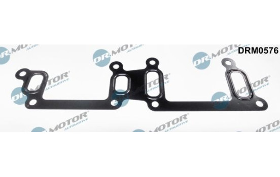 Gasket, coolant tube