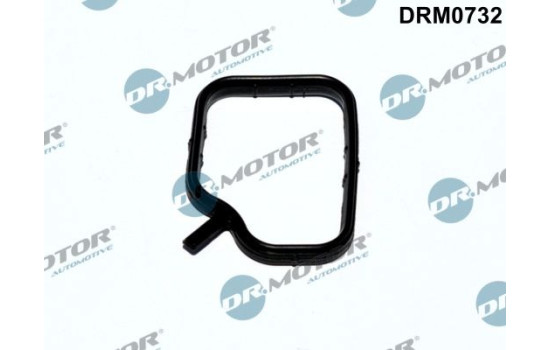 Gasket, coolant tube
