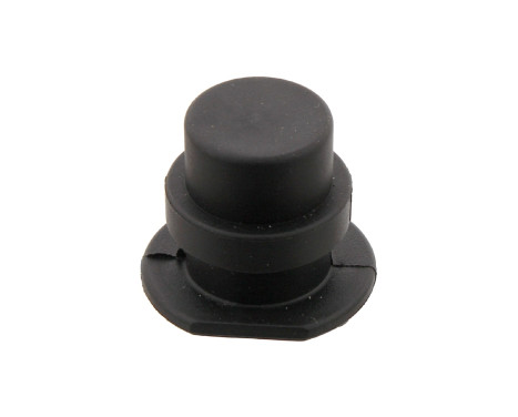 Sealing Plug, coolant flange 12407 FEBI