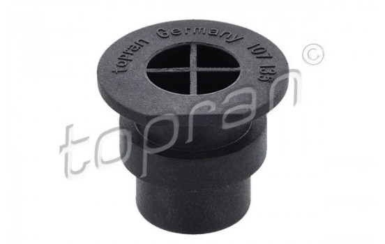 Sealing Plug, coolant flange