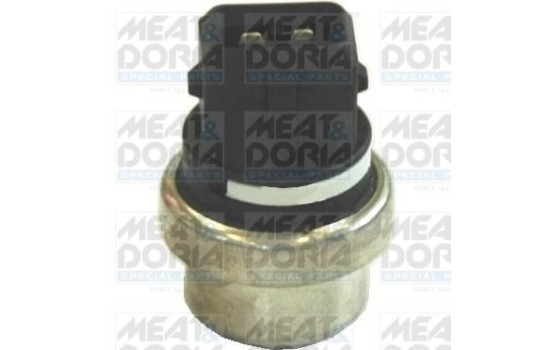 Temperature switch, coolant warning lamp