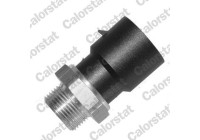 Temperature Switch, radiator fan