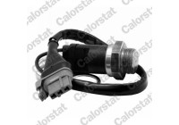 Temperature Switch, radiator fan