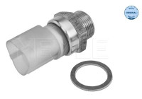 Temperature switch, radiator fan