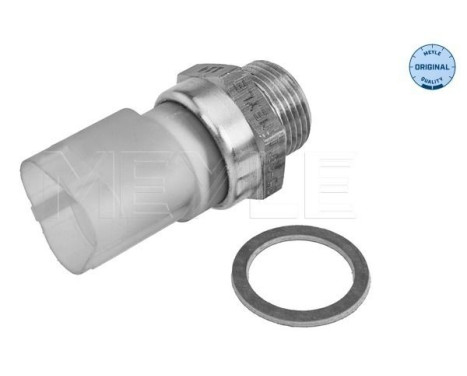 Temperature switch, radiator fan