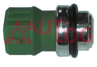 Temperature switch, radiator fan