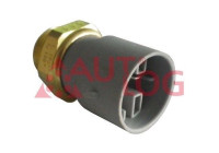 Temperature switch, radiator fan