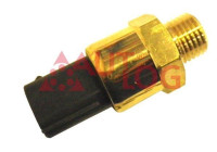 Temperature switch, radiator fan