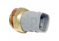 Temperature Switch, radiator fan