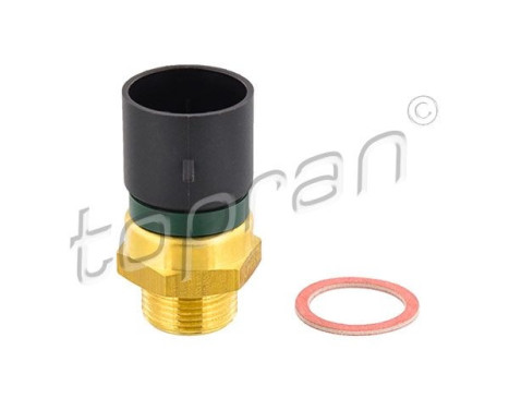 Temperature switch, radiator fan