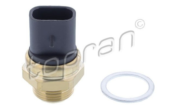 Temperature switch, radiator fan