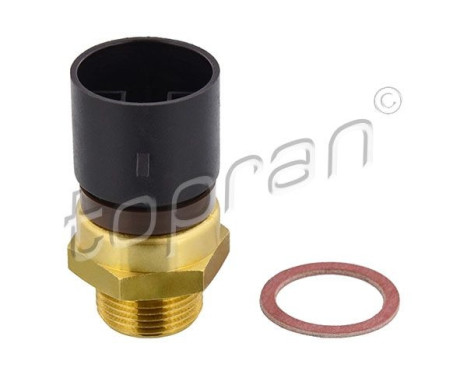 Temperature switch, radiator fan