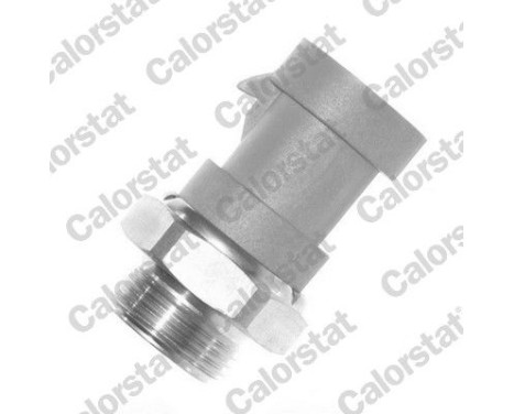 Temperature switch, radiator fan